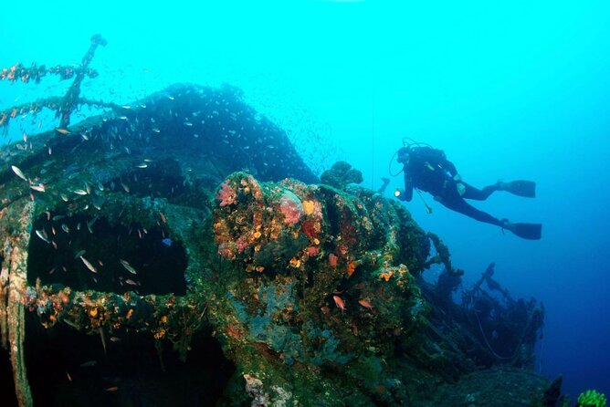 Dubrovnik 1 Dive for Certified Divers - Choosing the Underwater Site in the Southern Adriatic: Flexible, Not Random