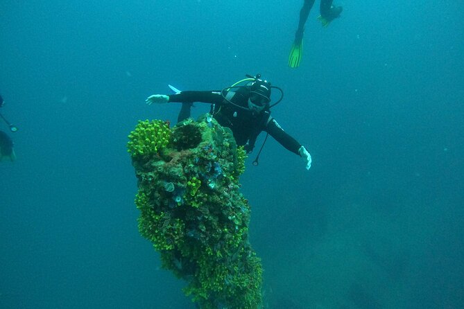 Dubrovnik 1 Dive for Certified Divers - What You’ll Actually See: Caves, Walls, Reefs, and Wrecks