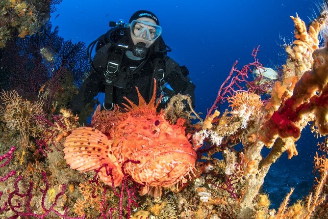 Dubrovnik 1 Dive for Certified Divers - Group Size, Timing, and Weather: The Real-Day Factors