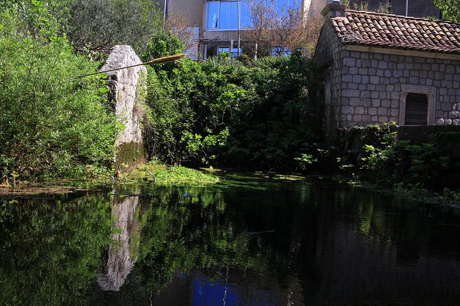 Dubrovnik: Best views Sightseeing Tour - Stop 3: Franjo Tuđman Bridge for the city-entrance angle