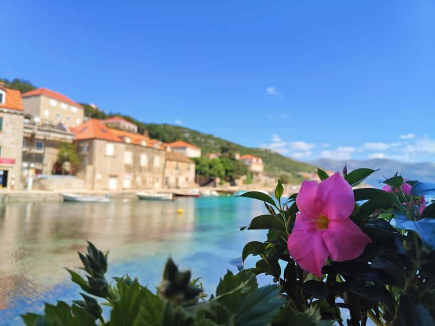 Dubrovnik: Blue Cave & Elaphiti Islands Full-Day Boat Tour - Koločep and Donje Čelo: The Car-Free Calm Between Swims