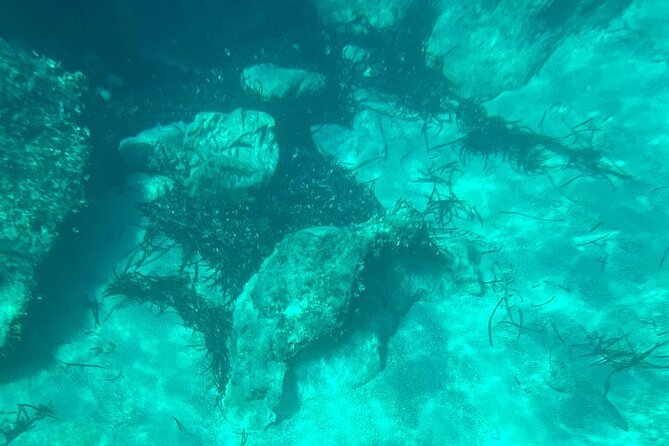 Dubrovnik: Blue Cave & Elaphiti islands & Optional Lunch Onboard - Entering the Blue Cave by swim: what to expect