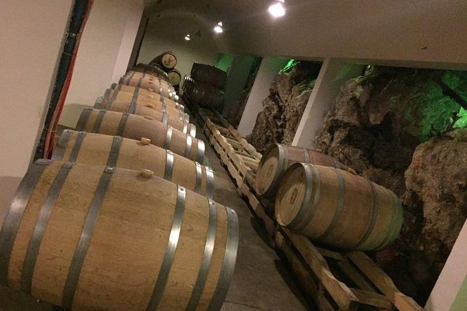 Dubrovnik Bosnia-Herzegovina Half-Day Wine Tour with Tastings - Why This Dubrovnik-to-Trebinje Wine Day Works for Busy Schedules