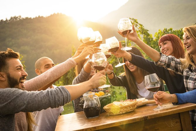 Dubrovnik Bosnia-Herzegovina Half-Day Wine Tour with Tastings - Should You Book This Half-Day Bosnia Wine Tour from Dubrovnik?