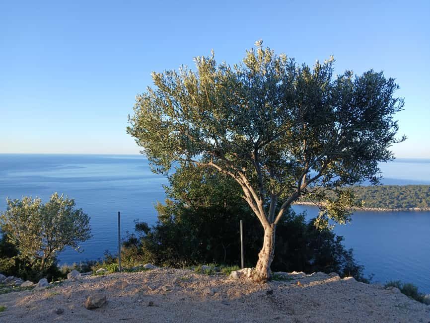 Dubrovnik: Early Nature Walk with a Historical Twist - Why the early start at Frana Supila works