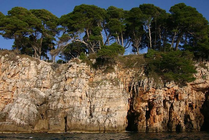 Dubrovnik Elafiti Islands Cruise with Lunch, Drinks and Pickup - Šipan and Suđurađ: Village Time Plus Šunj Beach