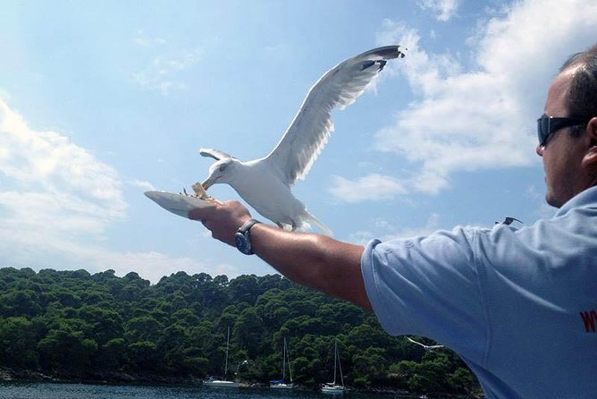 Dubrovnik Elafiti Islands Cruise with Lunch, Drinks and Pickup - Lunch on Board and Unlimited Drinks: How It Changes the Day
