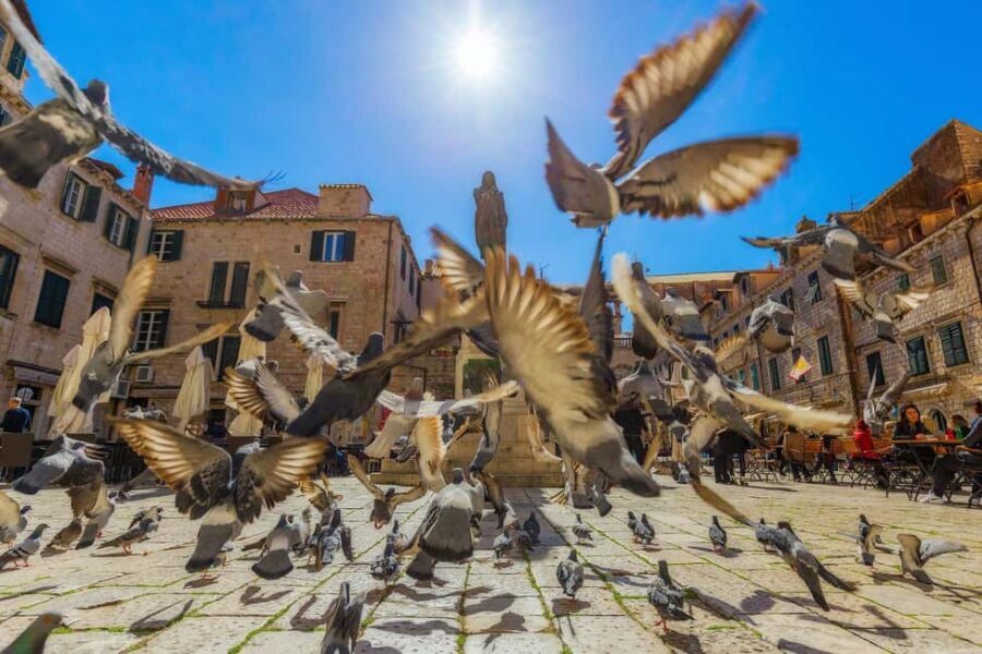 Dubrovnik for Kids: A Playful Family Walking Tour Experience - The 90-minute sweet spot for family time