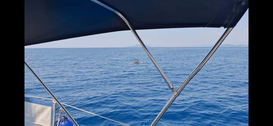 Dubrovnik : Full Day Group Boat Tour to Elaphiti & Blue Cave - Hidden bay refresh stops on the return