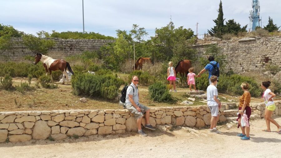 Dubrovnik: Game of Thrones Locations Driving Tour - Trsteno Arboretum: the royal gardens feel real, not staged