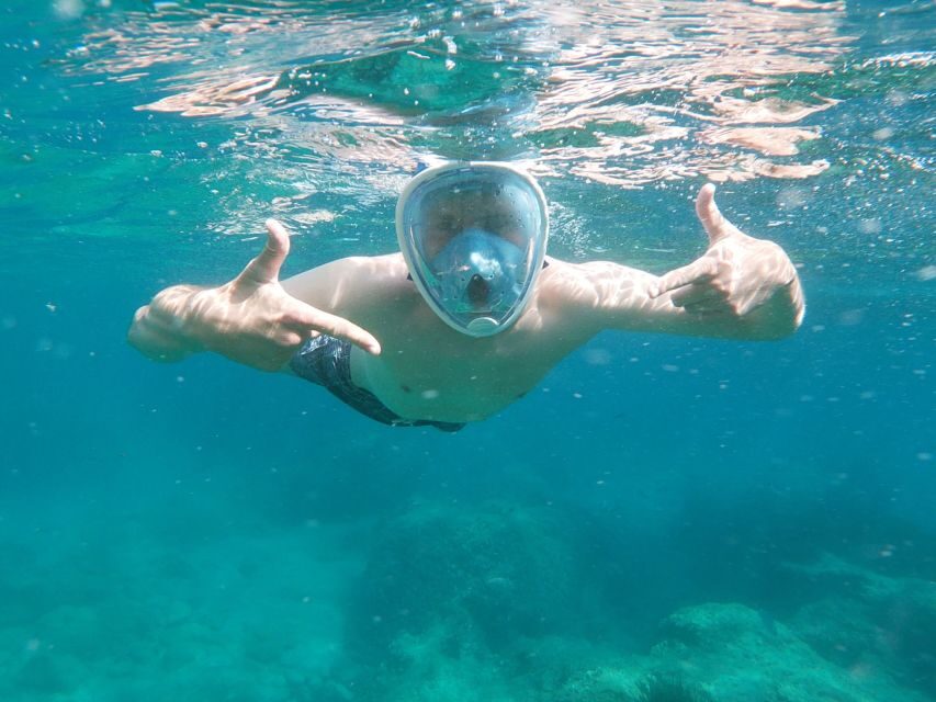 Dubrovnik: Half-Day Private Boat Trip to Elafiti Islands - Meeting at Gruž Harbour and the 4-Hour Private Rhythm