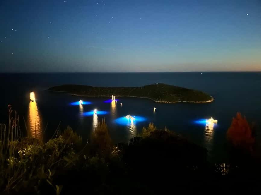 Dubrovnik Night Drive: Lights of the Adriatic - Meeting by Ombla River and riding with real comfort
