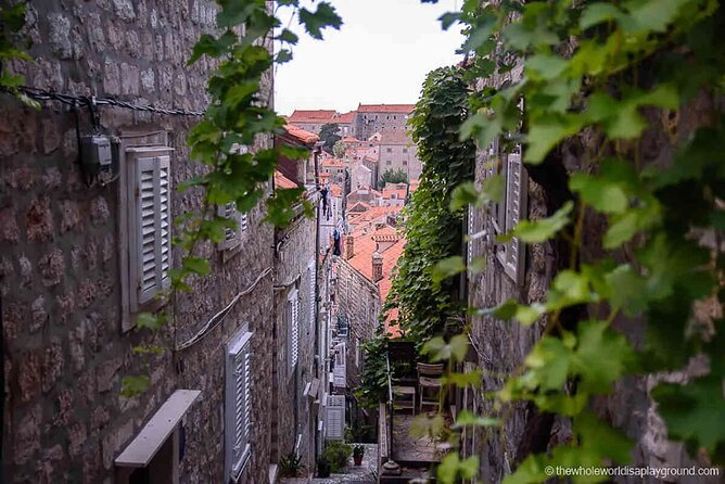 Dubrovnik Old Town Food Tour: Small-Group Experience - Who Should Book This Dubrovnik Food Tour