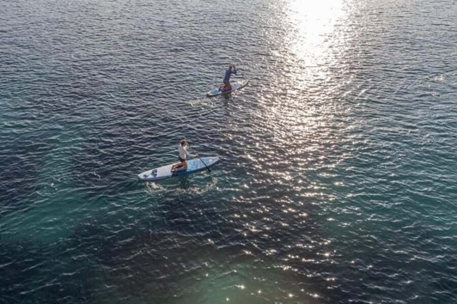 Dubrovnik: Paddleboarding & Snorkeling around Lokrum island - Getting to Lokrum: Portoc ferry and the pink-house meet