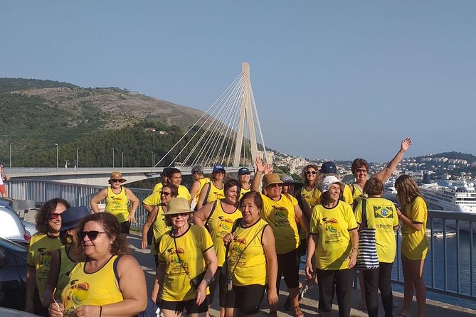 Dubrovnik Panorama Sightseeing with Tour Guide in Minivan - Inside the Horizon minivan: comfort, small groups, and real-time narration