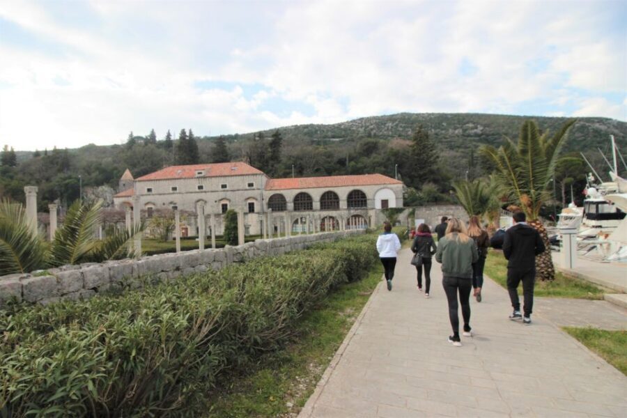 Dubrovnik: Private Cooking Experience with Wine Tasting - Barbecue fire to peeka-style meal: what cooking over a fire really teaches