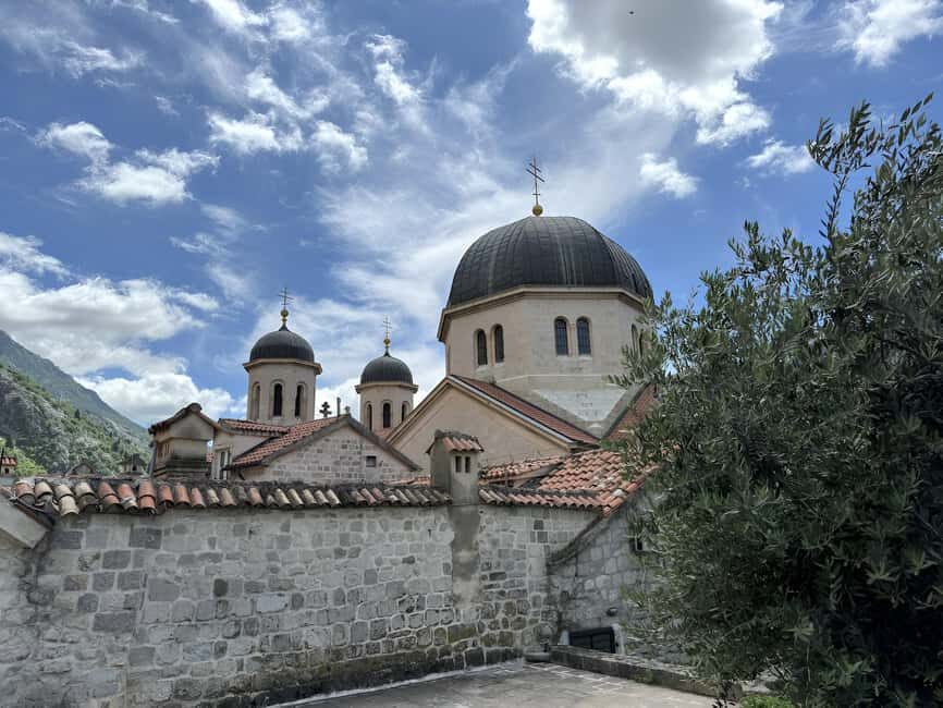 Dubrovnik: Private Tour to Montenegro, Kotor, and Perast - Guide and group vibe: what you can expect from the human side