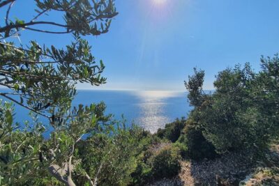 Dubrovnik Private Wine Tasting Tour to Peljesac Peninsula - Majkovi viewpoint: the 15 minutes that sets the tone