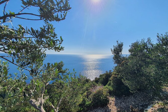 Dubrovnik Private Wine Tasting Tour to Peljesac Peninsula - Majkovi viewpoint: the 15 minutes that sets the tone