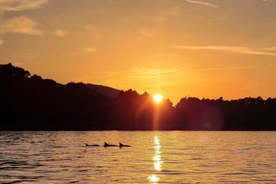 Dubrovnik Romantic Sunset Boat Tour - The sail to Grebeni Lighthouse: reefs, seagulls, and easy photo opportunities