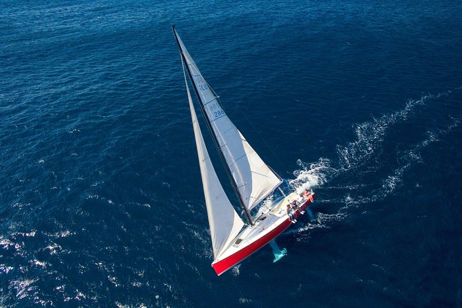 Dubrovnik Sailing - Private Full Day Tour - Timing and meeting point: the “no-drama” way to start