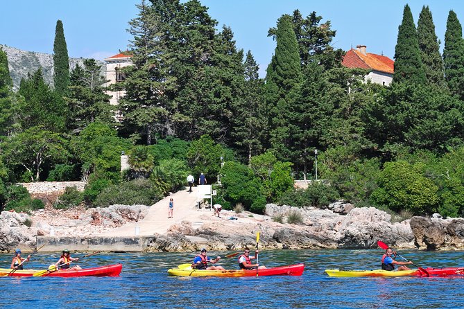Dubrovnik: Sea Kayaking & Snorkeling Tour - Paddling Level and Safety: Calm With an Arm Workout