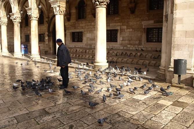 Dubrovnik's Old Town Walking Tour - Price, group size, and what you really get for $24.19