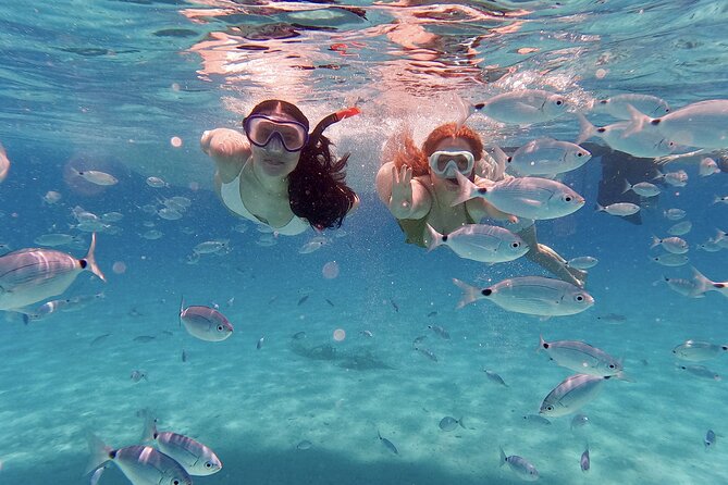 Dugi Otok Island Discovery Day Tour from Zadar - Dugi Otok in one day: speedboat time you’ll actually use