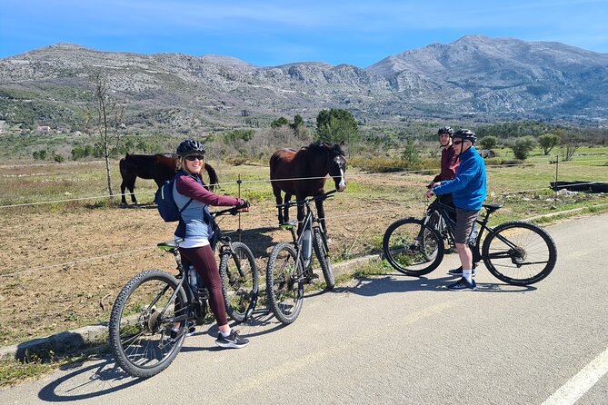 E-Bike Tour + Gourmet Lunch + Wine Tasting (Small Group) - Gourmet lunch and wine tasting: 3 courses, not a rushed pit stop