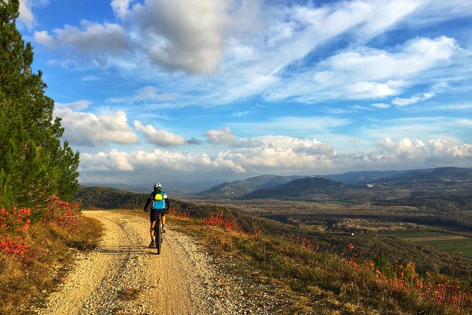 E-bike Tour: Istrian Countryside & Parenzana - Key Highlights You’ll Feel Day-Of