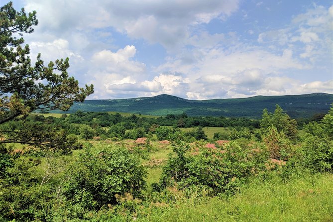 E-bike Tour: Istrian Countryside & Parenzana - How Long It Takes and Why the Timing Works