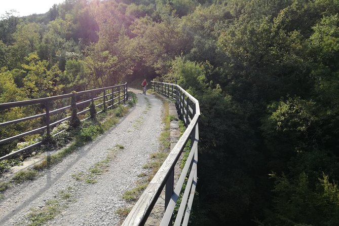 E-bike Tour: Istrian Countryside & Parenzana - Group Size, Pace, and Fitness: Who This E-bike Tour Fits Best