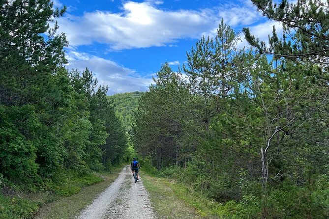 E-bike Tour: Istrian Countryside & Parenzana - What’s Included vs. Not Included (So You Don’t Get Surprised)