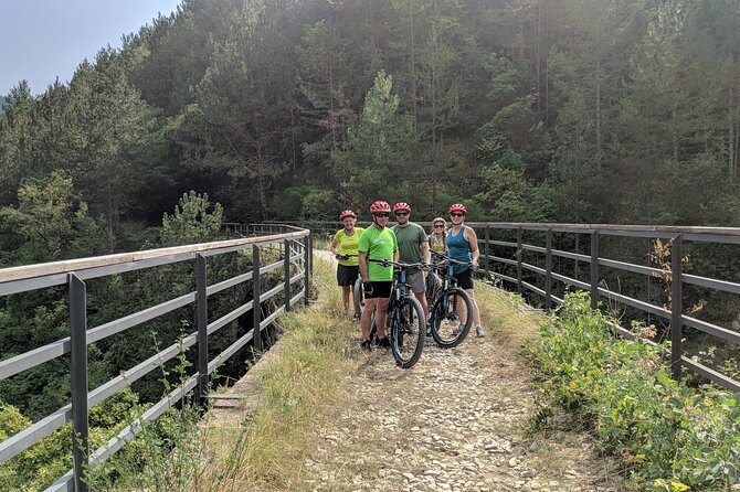 E-bike Tour: Istrian Countryside & Parenzana - The Climb Toward Oprtalj: Where the E-bike Helps Most