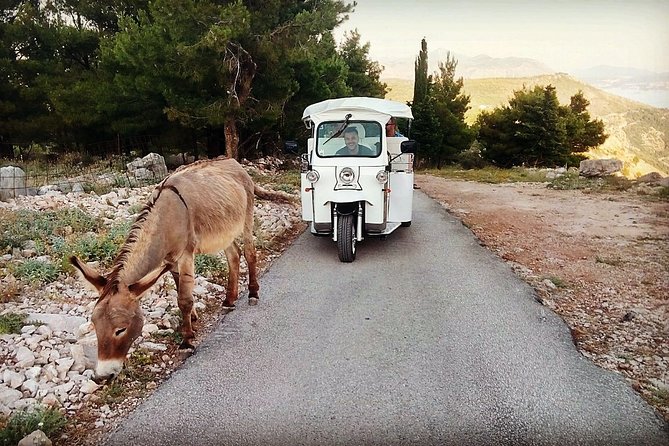E-Tuk Tuk Tour in Dubrovnik - Why Dubrovnik Looks Different From Srđ (and Why the Tuk-Tuk Helps)