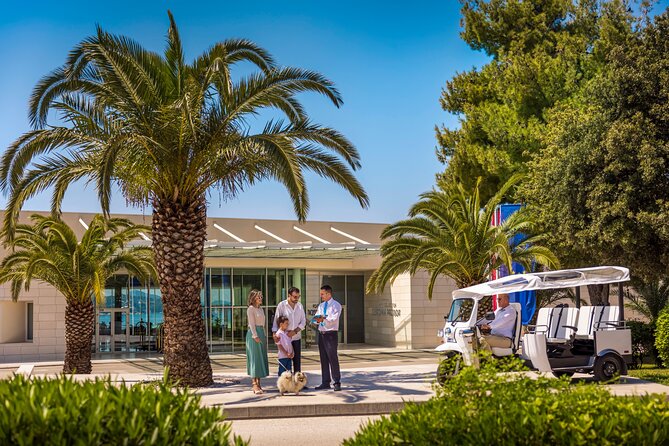 E-Tuk Tuk Tour in Dubrovnik - Stop 1 at Franjo Tuđman Bridge: Photos Plus Context Without Waiting