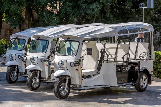 Eco City Tour Split - How the electric tuk-tuk tour actually helps you in Split