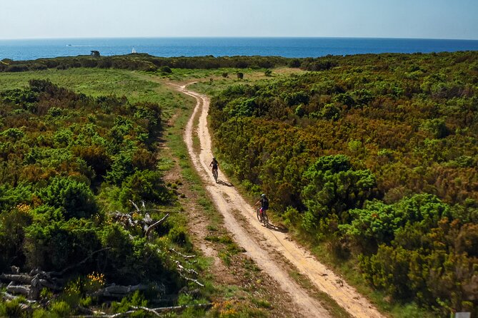 Electric Off-Road Scooter Tour in Pula - Who should book this e-scooter tour in Pula