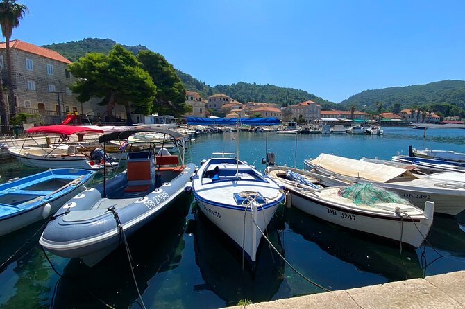 Explore Elaphiti Islands by Boat Tour: Hop-on-Hop-off Adventure - Koločep (Kalamota): beaches, greenery, and village time