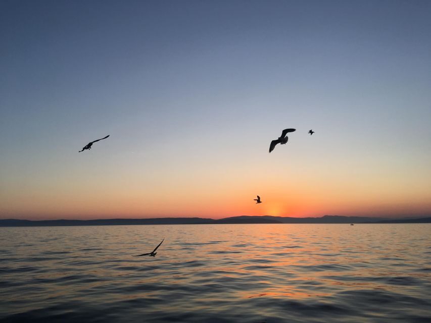 Explore the Wild Bays of Krk Island with Capt. Bobo(Private) - Fox Bay, Golden Bay, and the rest: what each stop gives you