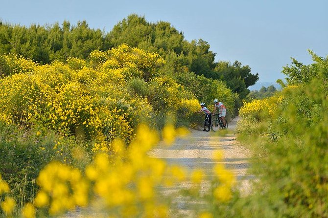 Exploring Vodice on Two Wheels - Vodice on a Bike: A Short Town, Big Payoff