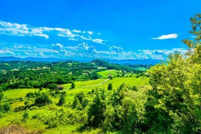 Fairytale Castle & Wine Tasting & Lunch - Inside Trakošćan: what to look for during your museum-style visit