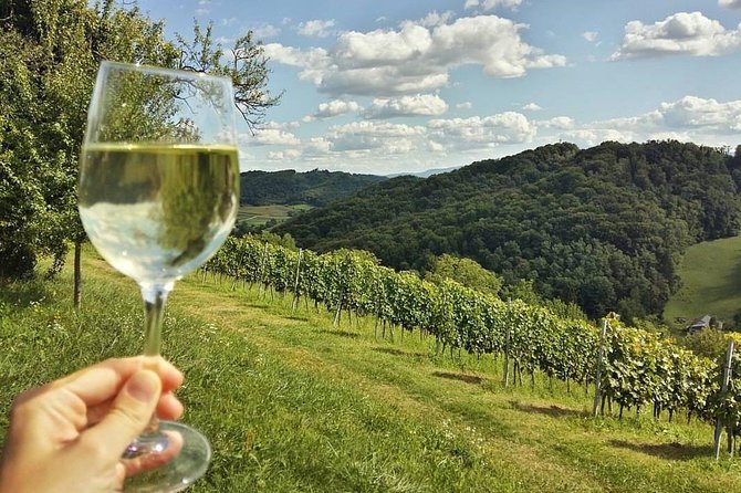 Fairytale Castle & Wine Tasting & Lunch - Price and what you really get for $343.27