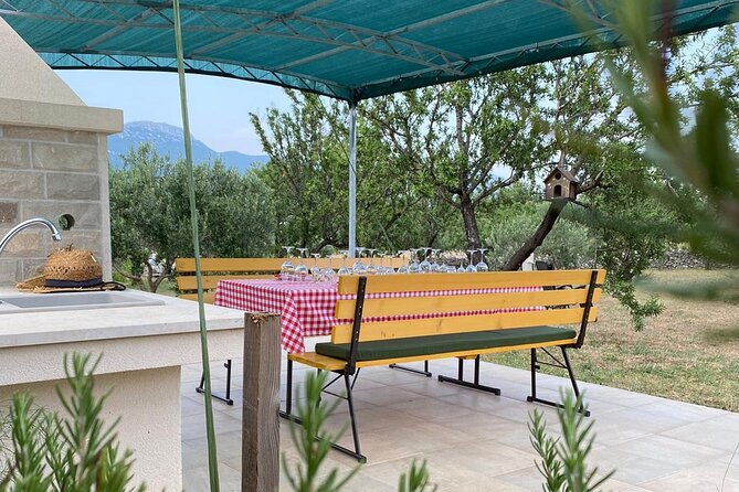 Family-run Vineyard Tour & Award Winning Wine Tasting/Delicacies - Who Should Book This Vineyard Tour