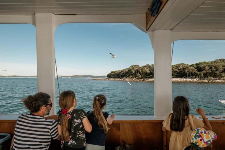 FAŽANA: DOLPHIN SAFARI - The Roman theater you’ll spot while cruising