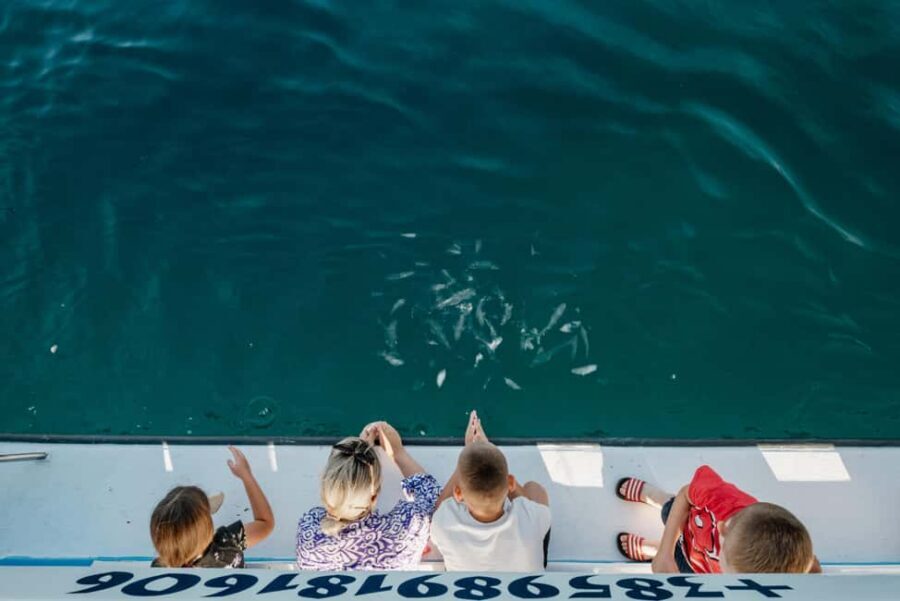 Fažana: Glass Boat Tour of Brijuni National Park - Spotting Verige and Roman Structures While You Cruise