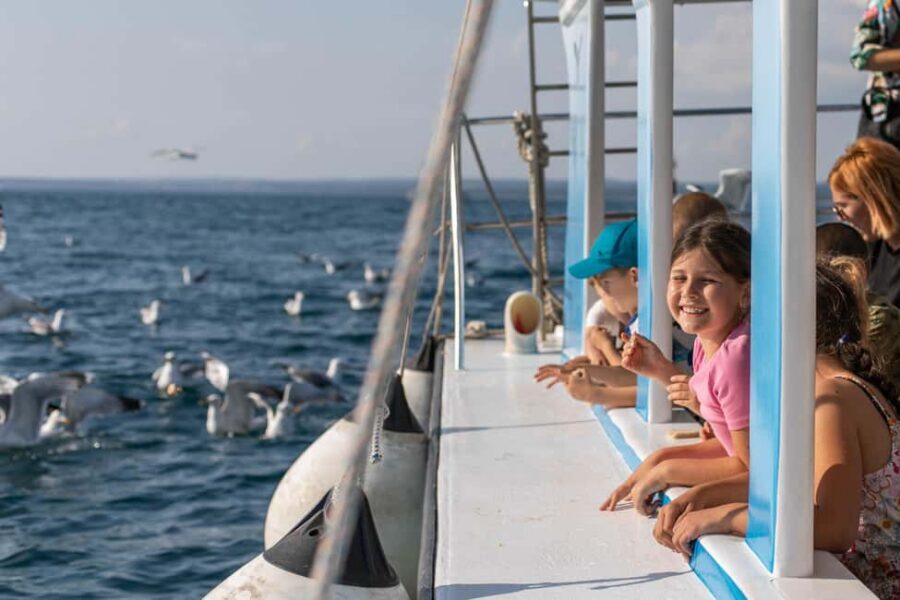 FAŽANA: PANORAMA NP BRIJUNI AND ISLAND SWIMMING STOP - Quick hits: what makes this trip worth your time