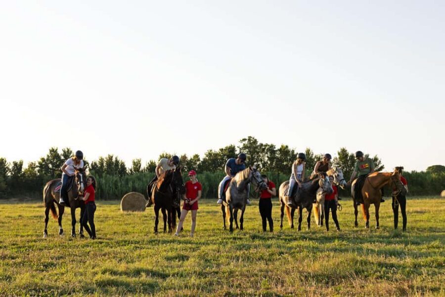 Fazana: Sunset 1-hour Horse Riding in Nature with Guide - Key things I’d mark as highlights