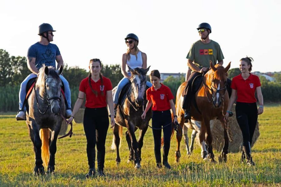 Fazana: Sunset 1-hour Horse Riding in Nature with Guide - Practical planning tips before you go