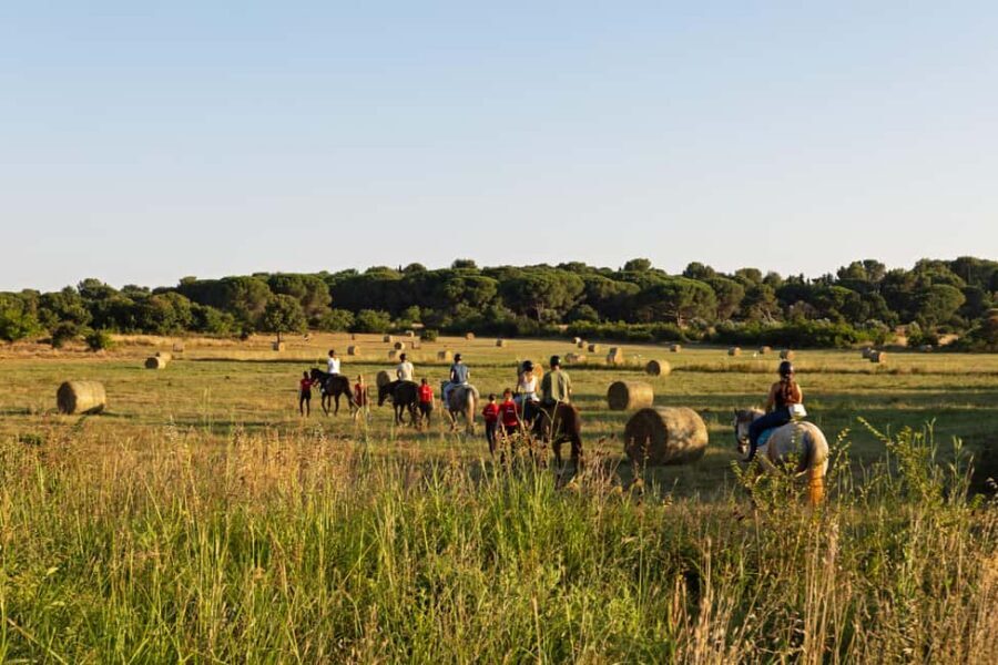 Fazana: Sunset 1-hour Horse Riding in Nature with Guide - Fažana at golden hour: what the ride is really like